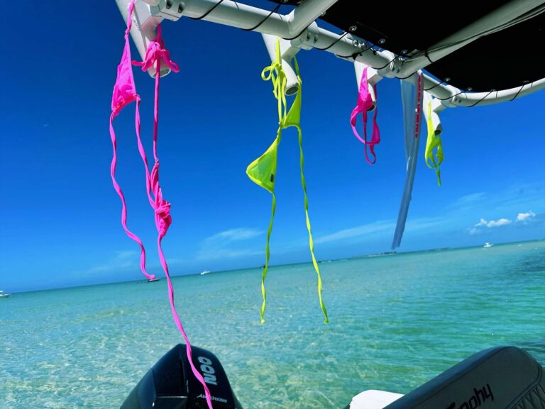 Bikini tops hanging off the T-top