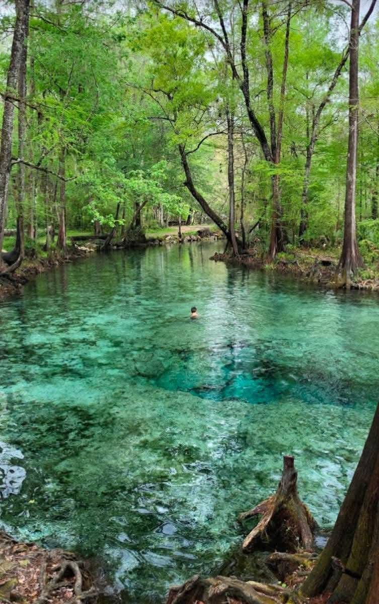 Crystal blue springs