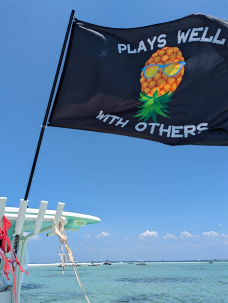 Plays Well With Others pineapple flag