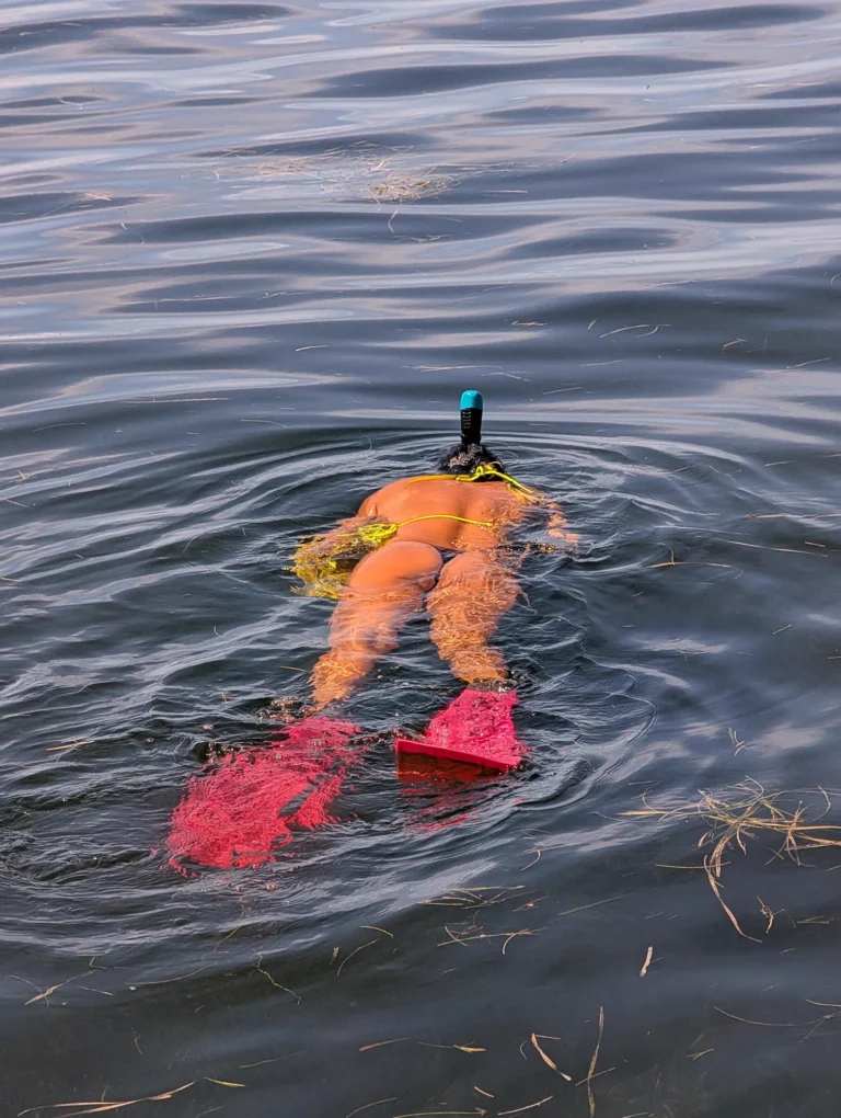 Hunting for scallops