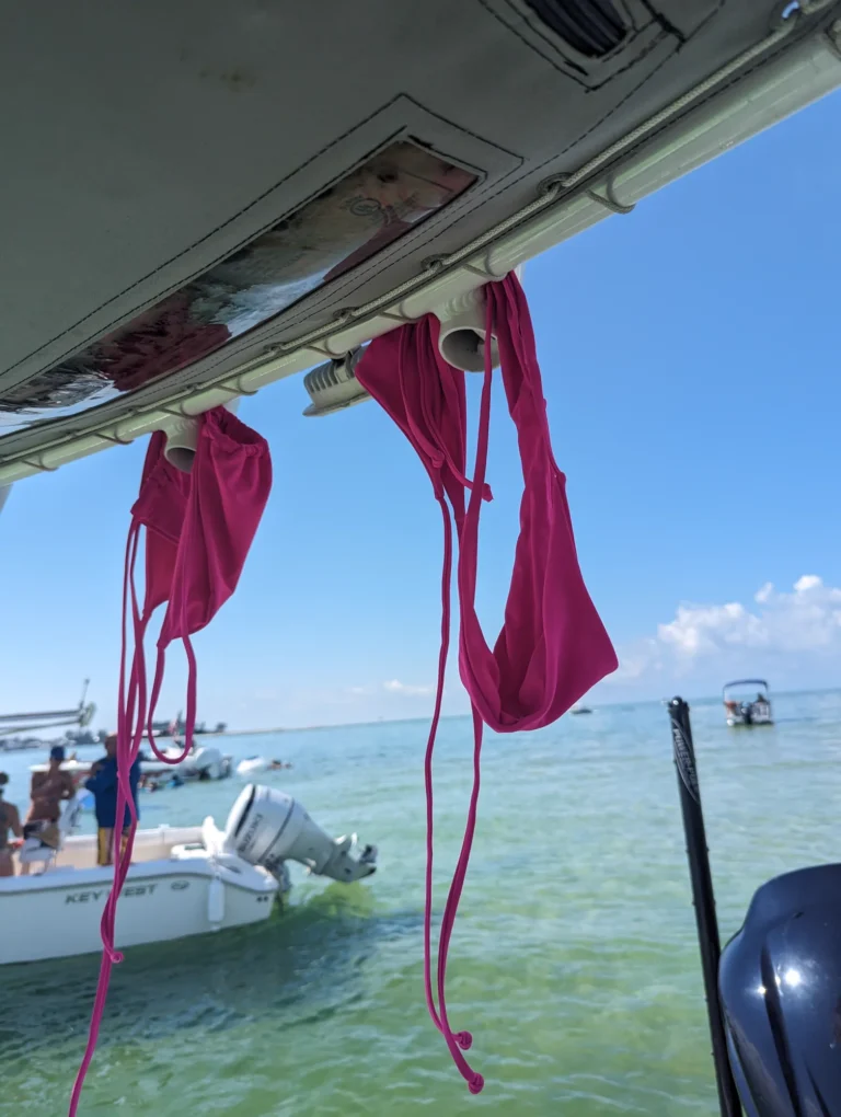 Bikinis hanging off the T-top