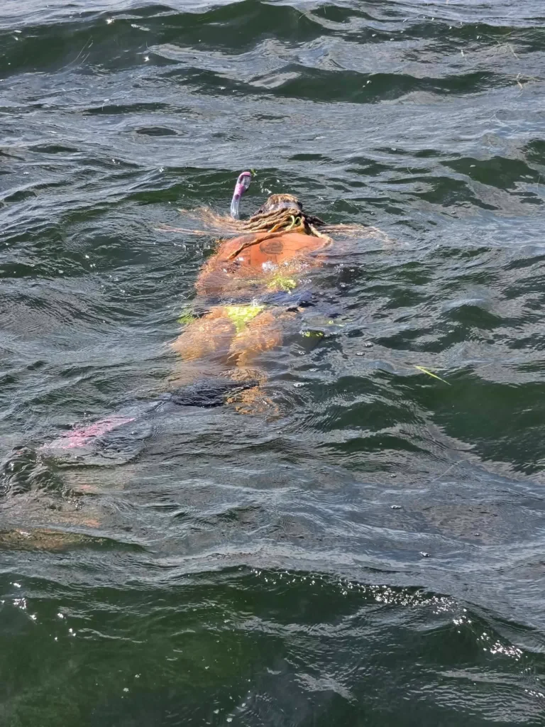 Snorkel time